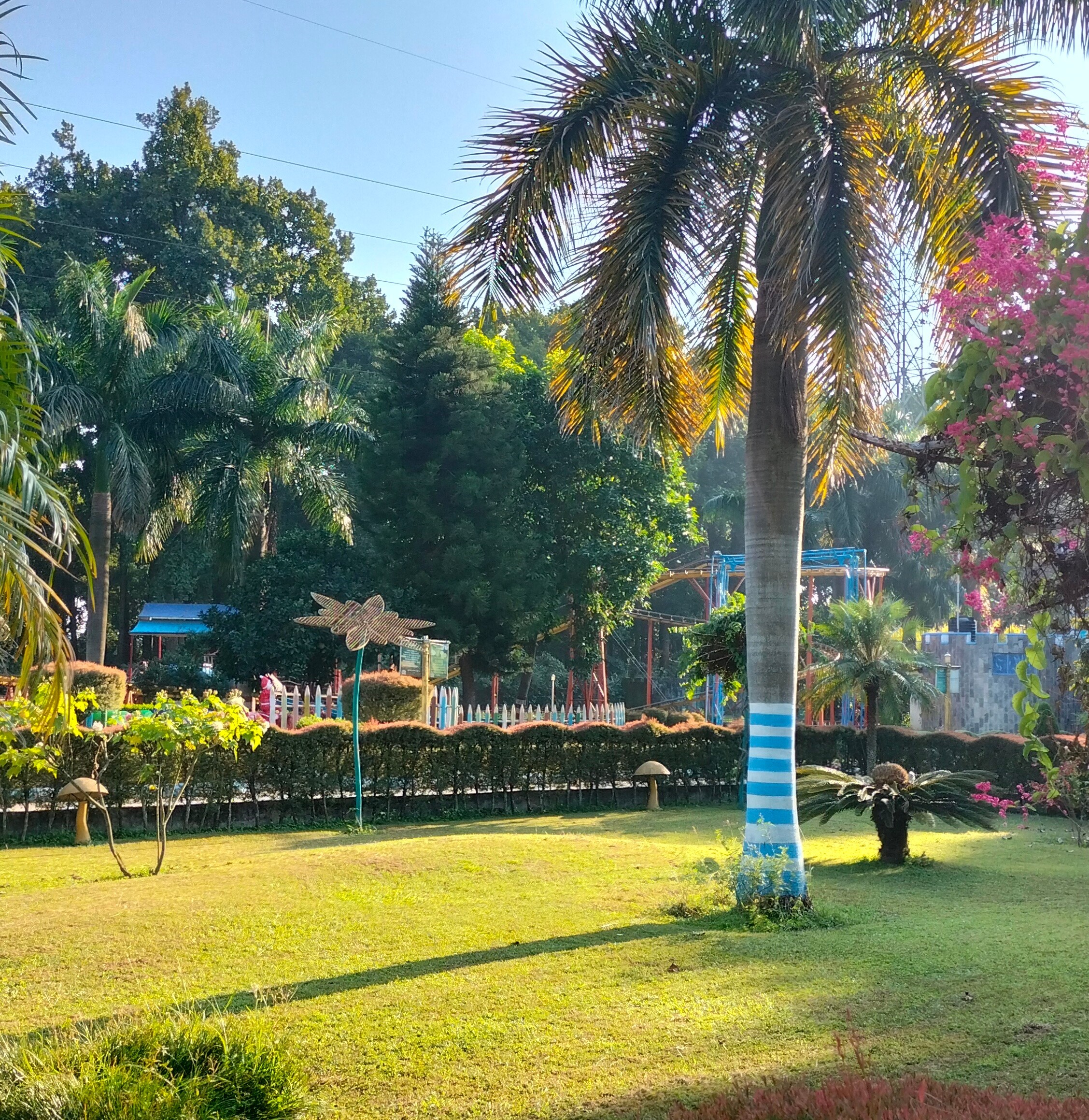 Yards-filled-with-Greenery.jpg